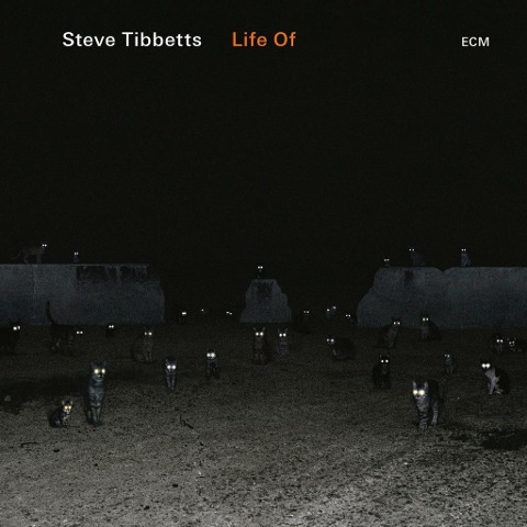 Life Of - Steve Tibbetts