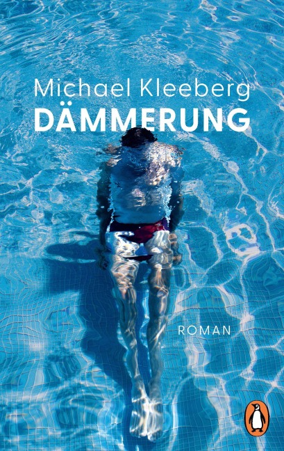 Dämmerung - Michael Kleeberg