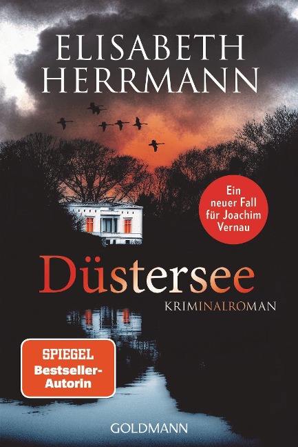 Düstersee - Elisabeth Herrmann