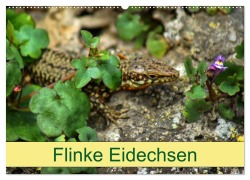 Cover-Bild zum Titel 'Flinke Eidechsen (Wandkalender 2026 DIN A2 quer), CALVENDO Monatskalender' von 'Kattobello Kattobello'