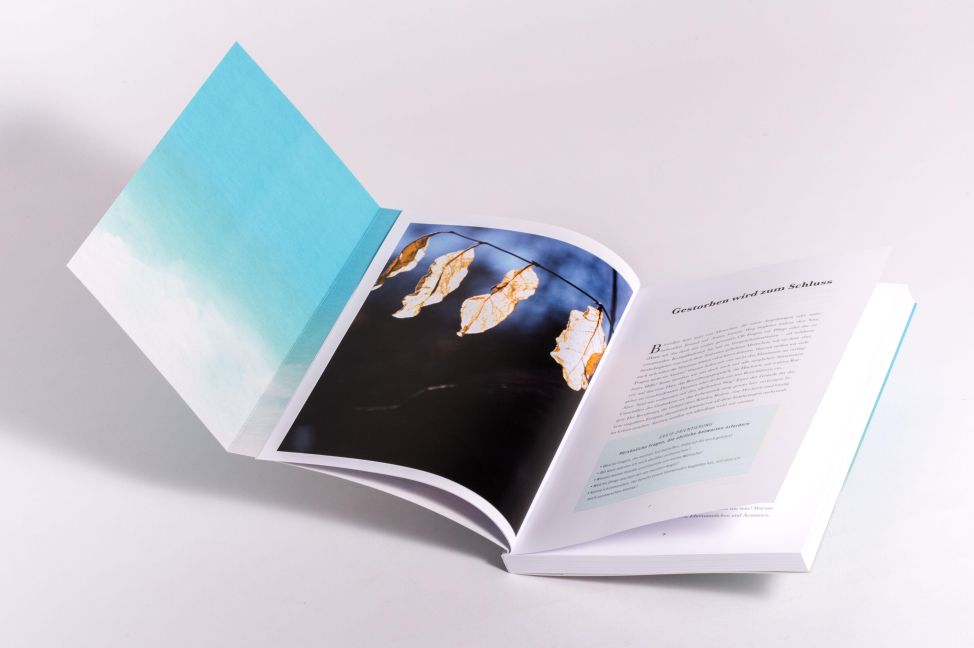 InsideView 5