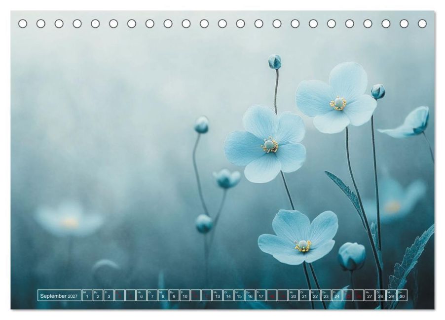 InsideView 14