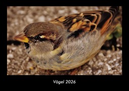 Cover-Bild zum Titel 'Vögel 2026 Fotokalender DIN A3' von 'Kevin Heber, Tobias Schmitt'
