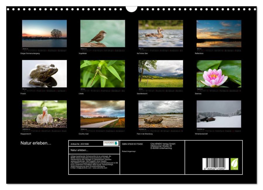InsideView 5