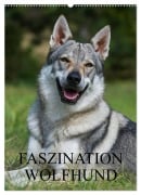 Cover-Bild zum Titel 'Faszination Wolfhund (Wandkalender 2026 DIN A2 hoch), CALVENDO Monatskalender' von 'Sigrid Starick'