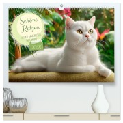 Cover-Bild zum Titel 'Schöne Katzen. Beliebte Samtpfoten im Garten (hochwertiger Premium Wandkalender 2026 DIN A2 quer), Kunstdruck in Hochglanz' von 'Rose Hurley'