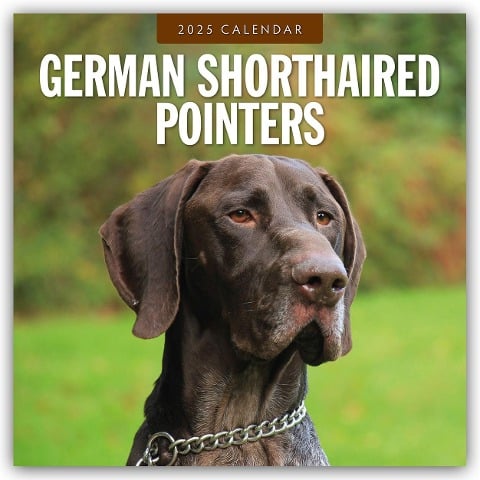 German Shorthaired Pointers - Deutscher Kurzhaar - Deutscher Kurzhaariger Vorstehhund 2025 - 16-Monatskalender - 