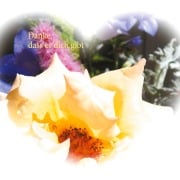 Cover-Bild zum Titel 'Danke, dass es dich gibt' von 'Adina Smaragd'