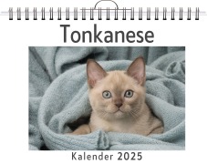 Cover-Bild zum Titel 'Tonkanese' von 'David Peters'