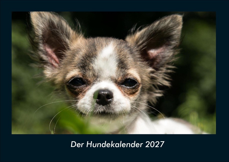 Der Hundekalender 2027 Fotokalender DIN A4 - Kevin Heber, Tobias Schmitt