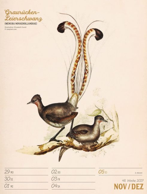 InsideView 52