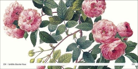 InsideView 14