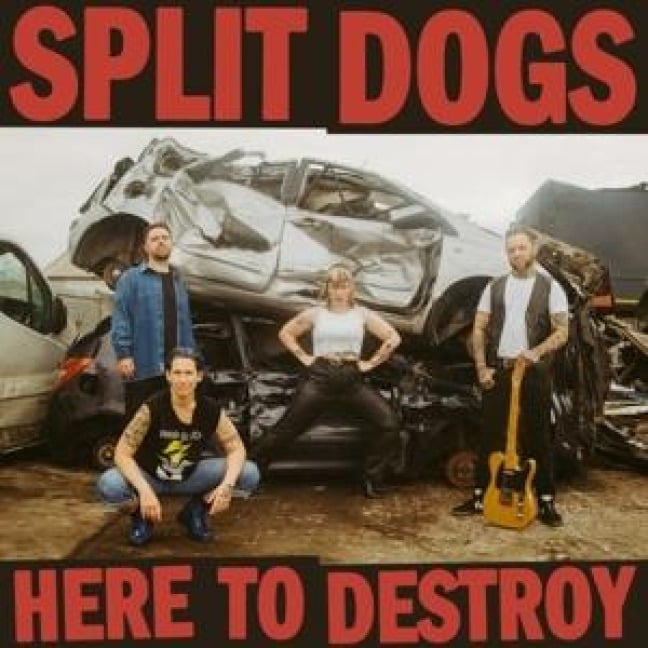 Here To Destroy - Split Dogs