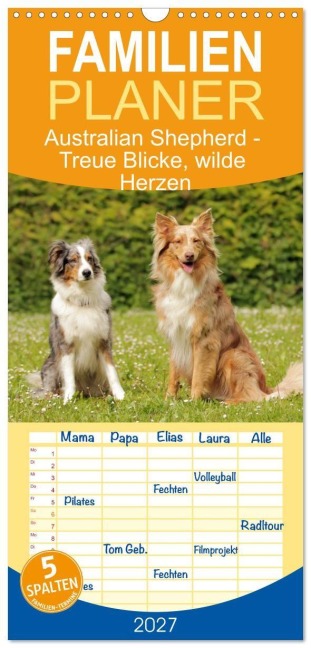 Familienplaner 2027 - Australian Shepherd - Treue Blicke, wilde Herzen mit 5 Spalten (Wandkalender, 21 x 45 cm) CALVENDO - Alex Shepherd