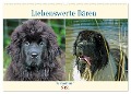 Neufundländer - Liebenswerte Bären (Wandkalender 2024 DIN A2 quer), CALVENDO Monatskalender - Claudia Kleemann