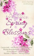 Cover-Bild zum Titel 'A Season for Romance' von 'Blythe Brandenburg, Erica Damon, Naito Diamond, Jan Foster, Cassia Hall'