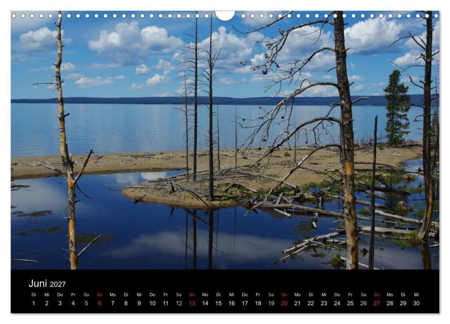 InsideView 11