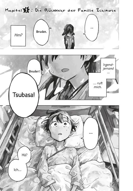 InsideView 4