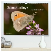 Cover-Bild zum Titel 'Schmetterlinge - von Blüte zu Blüte - (hochwertiger Premium Wandkalender 2026 DIN A2 quer), Kunstdruck in Hochglanz' von 'Angelika Meister'