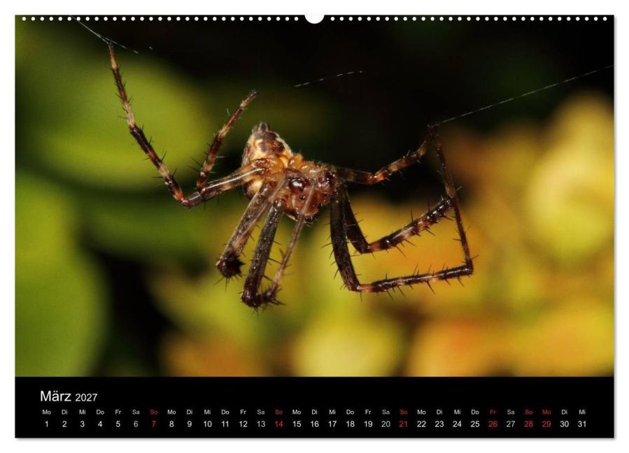 InsideView 7