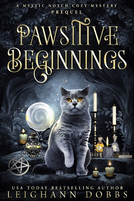 Pawsitive Beginnings (Mystic Notch Cozy Mystery Series, #0) - Leighann Dobbs