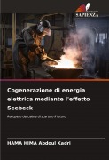 Cover-Bild zum Titel 'Cogenerazione di energia elettrica mediante l'effetto Seebeck' von 'Hama Hima Abdoul Kadri'