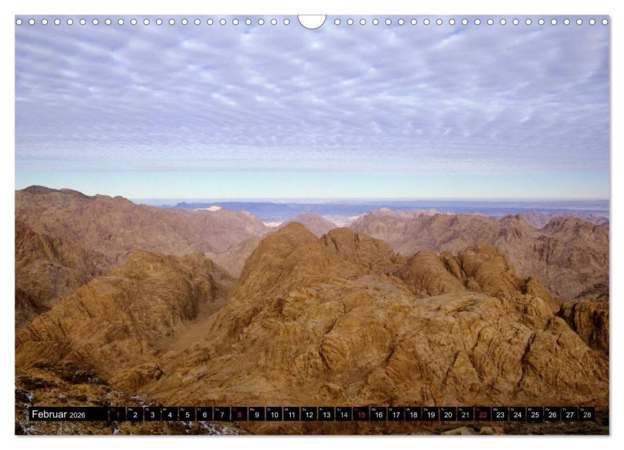InsideView 4