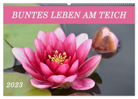 Buntes Leben am Teich (Wandkalender 2024 DIN A2 quer), CALVENDO Monatskalender - Ingrid Franz