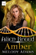 Cover-Bild zum Titel 'Amber' von 'Melody Adams'