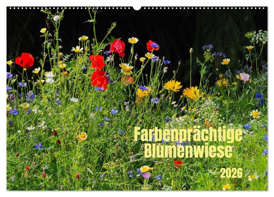 Farbenprächtige Blumenwiese (Wandkalender 2026 DIN A2 quer), CALVENDO Monatskalender - Thilo Seidel