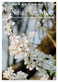 Natur am Meer - Wälder, Gärten und Blumen am Rande der Ostsee (Tischkalender 2024 DIN A5 hoch), CALVENDO Monatskalender - Heidi Schneekloth