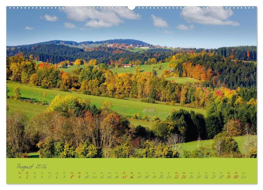 InsideView 12