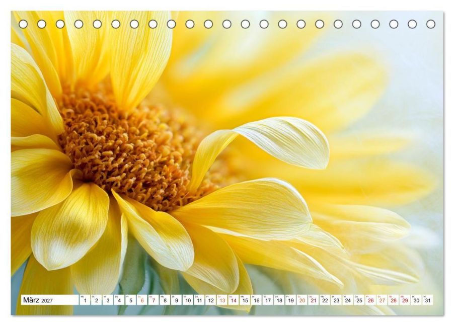 InsideView 8