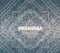 Strange Delight - Bukahara