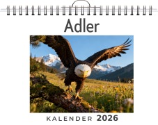 Cover-Bild zum Titel 'Adler' von 'Zoe Meier'