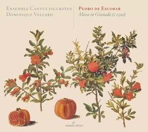 Pedro de Escobar/Missa In Granada - Cantus Figuratus