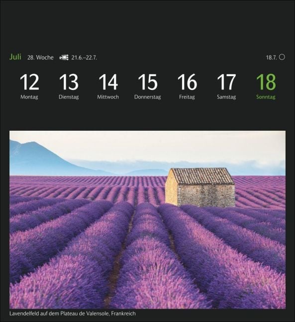 InsideView 9