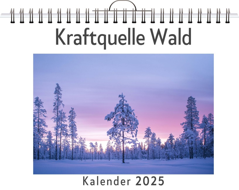 Kraftquelle Wald - Alexander Vogel