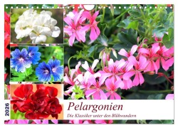 Pelargonien. Die Klassiker unter den Blühwundern (Wandkalender 2026 DIN A4 quer), CALVENDO Monatskalender - Rose Hurley