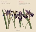 Cover-Bild zum Titel 'Istampite: Medieval pieces for fiddle and percussi' von 'Sinfonye & Jim Denley & Pedro Estevan'