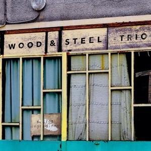 Secret Ingredient - Wood & Steel Trio