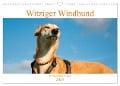 Witziger Windhund - Portugiesischer Galgo (Wandkalender 2024 DIN A3 quer), CALVENDO Monatskalender - Meike Bölts