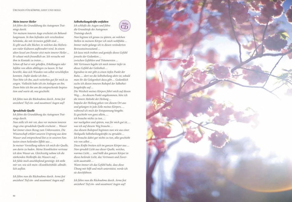 InsideView 5