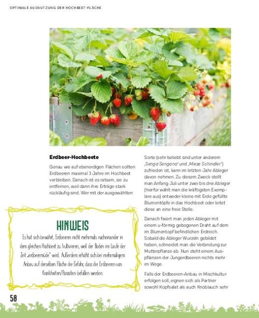 InsideView 11