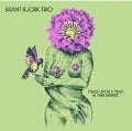 Once Upon A Time In The Desert - Brant Bjork Trio