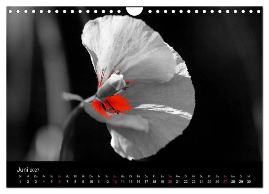 InsideView 11