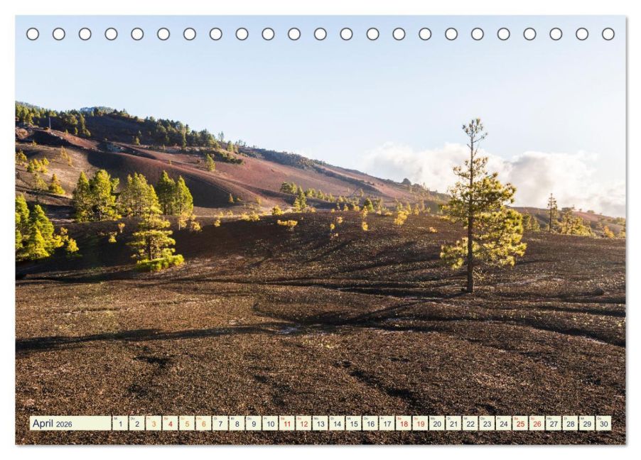 InsideView 9