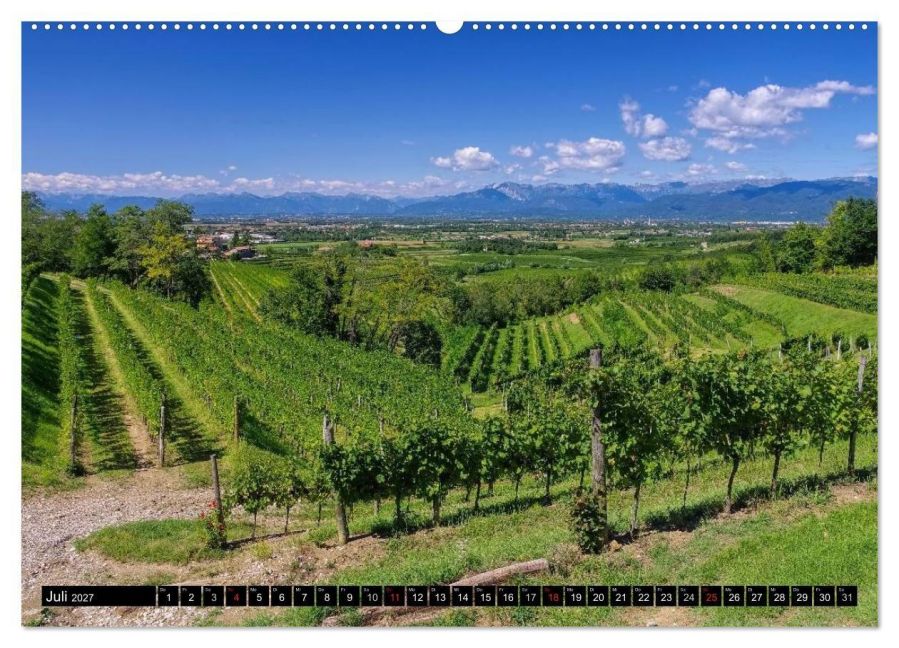 InsideView 12