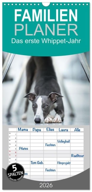 Familienplaner 2026 - Das erste Whippet-Jahr mit 5 Spalten (Wandkalender, 21 x 45 cm) CALVENDO - Nicola Kassat Fotografie