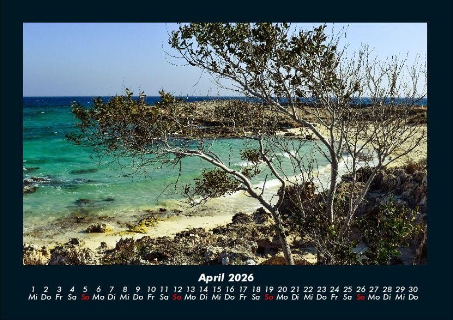 InsideView 8